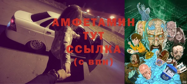 прущие грибы Алзамай