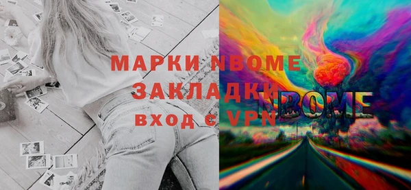 прущие грибы Алзамай