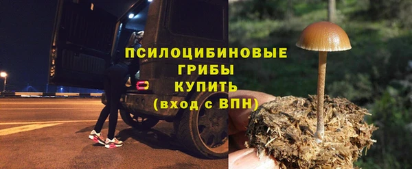 прущие грибы Алзамай