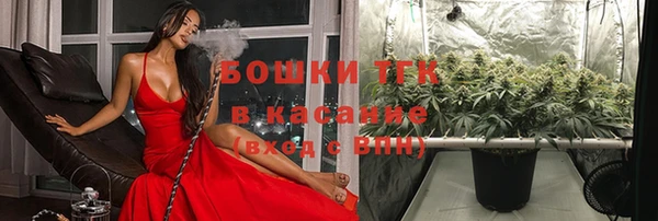 прущие грибы Алзамай