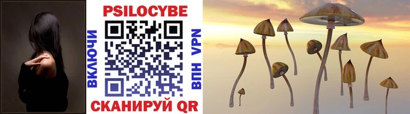 что такое Лесосибирск Псилоцибиновые грибы Psilocybe