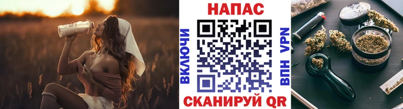 Марихуана план  Лесосибирск 